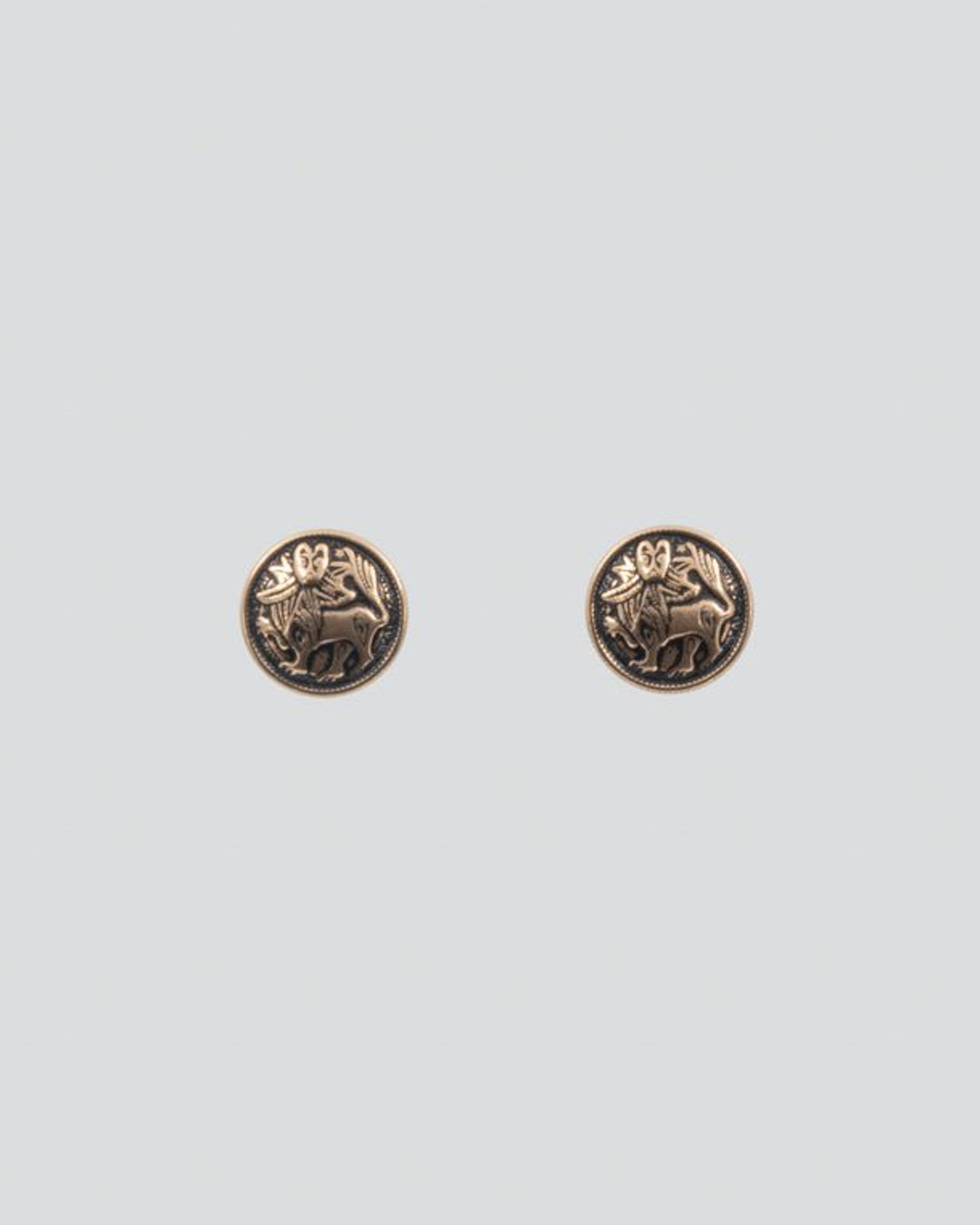 Kept Aurinkoleijona earrings bronze